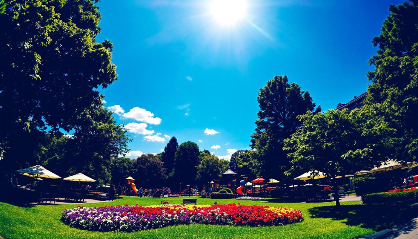 Étapes clés pour la création d'un parc attrayant et durable